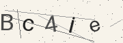 Captcha challenge