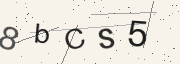Captcha challenge