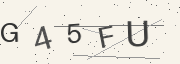 Captcha challenge