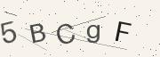 Captcha challenge