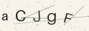 Captcha challenge