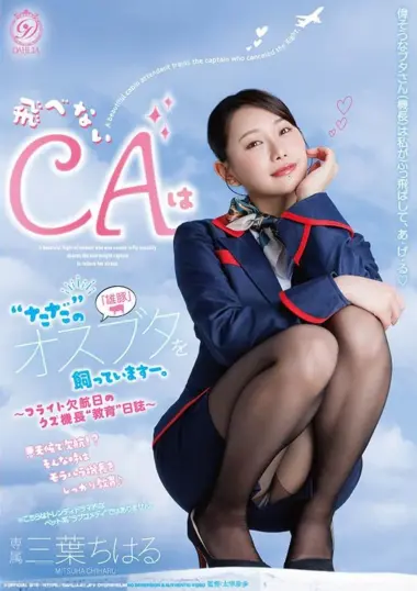 DLDSS-543 – Mitsuha Chiharu - Harassed Flight Attendant